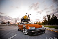 rust-crx-05.jpg
