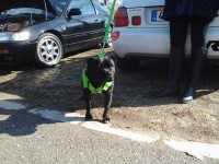 sraz Poděbrady březen 2017 - 004.jpg