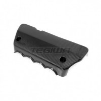 tegiwa-carbon-inlet-cover-fn2_1 (1).jpg