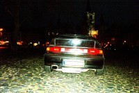 Vespula.Mortifer.JPG
