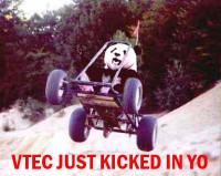 VtecPanda.jpg