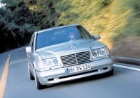 w124_wald.jpg