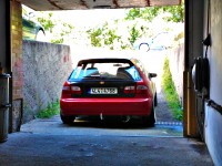 WP_000926.jpg