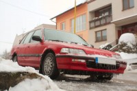 zamrzcivic.jpg